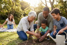Familie: was bedeutet Erziehung? 4 familie erziehung