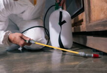 Schädlingsbekämpfung - wie gehe ich vor? 5 schaedlingsbekaempfung